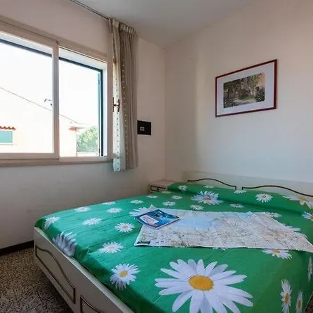 Michelangelo In Apartment *